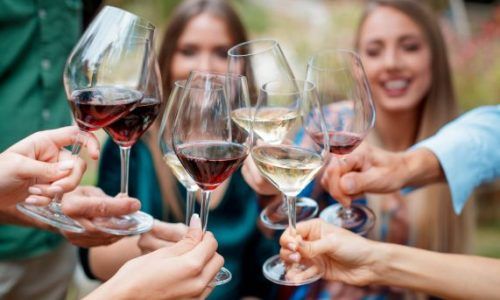 Elige el vino perfecto