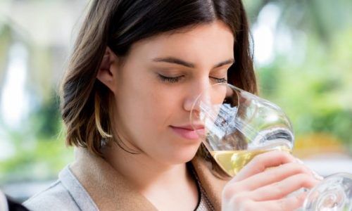 10 curiosidades del vino